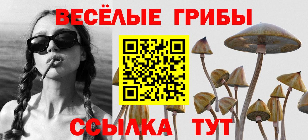 Галлюциногенные грибы ЛСД  Вход с VPN  Энгельс 